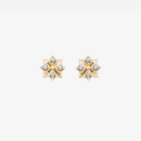 Star Mini Studs (14K Gold) - Carrie K. 