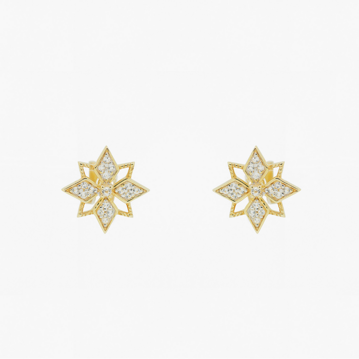 Star Studs (9K Gold) - Carrie K.