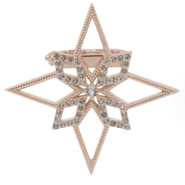 Star Pearl Clip (9K Gold) - Carrie K.