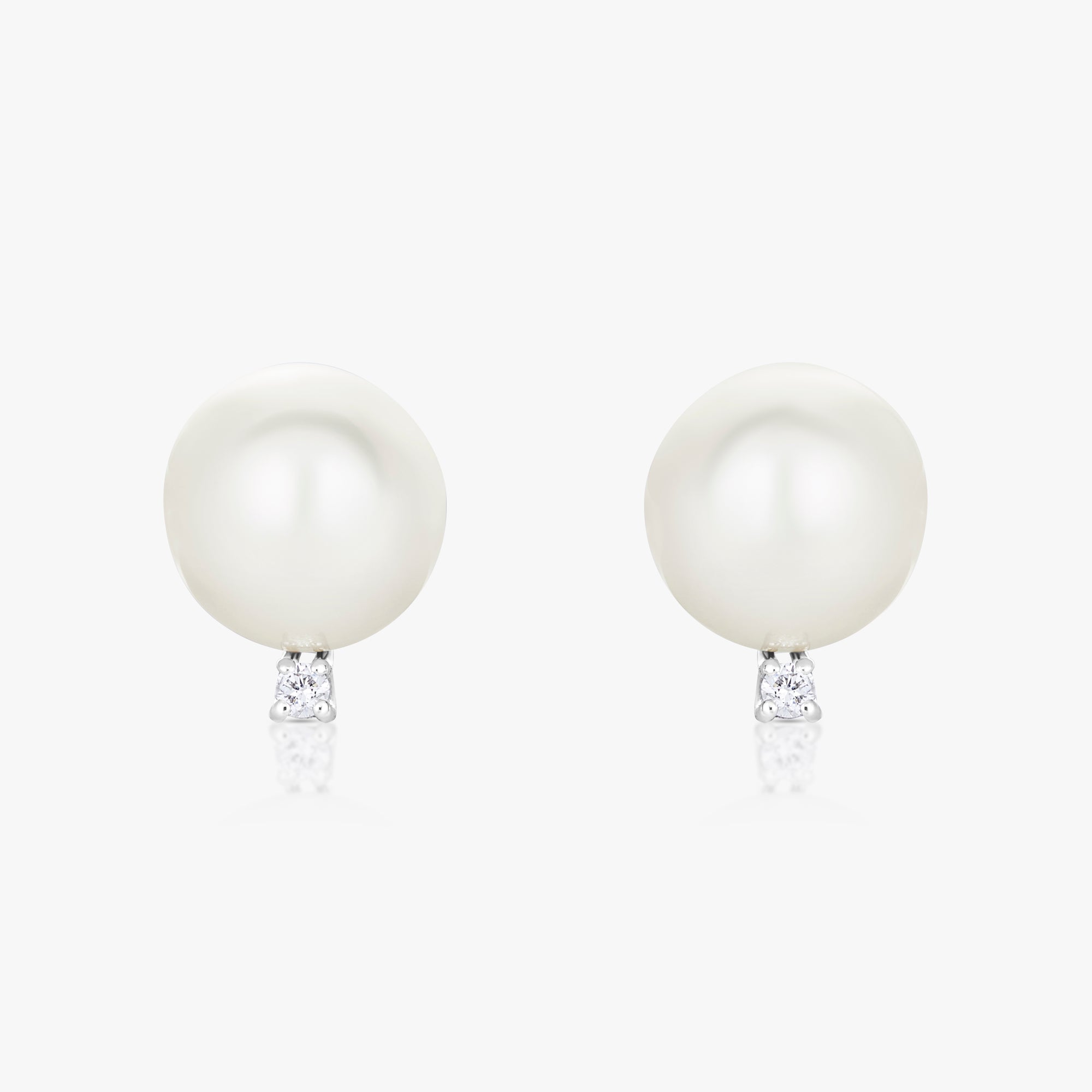 South Sea Pearl Bise Earrings - Carrie K. 