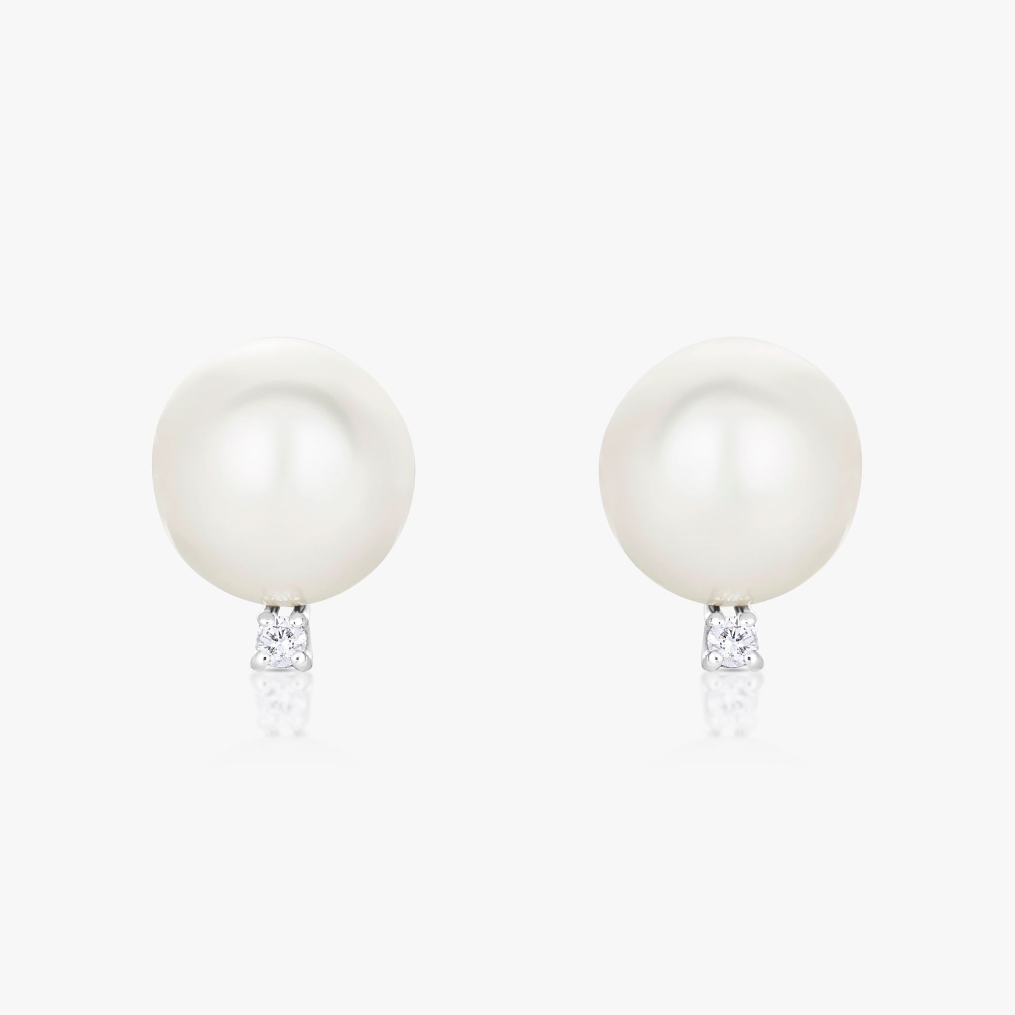 South Sea Pearl Bise Earrings - Carrie K. 