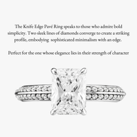 Hidden Halo Knife Edge Pave Ring - Carrie K.