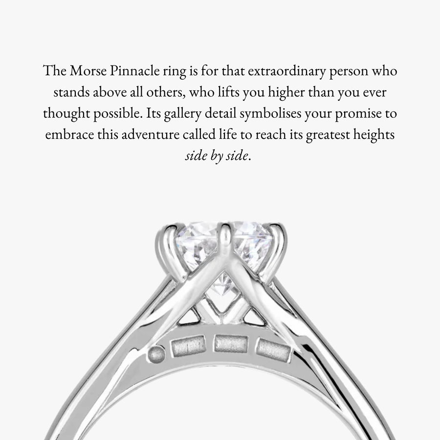 Morse Pinnacle Ring With Tapered Band - Carrie K.