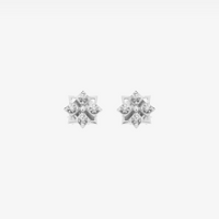 Star Mini Studs (14K Gold) - Carrie K. 