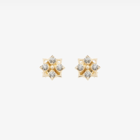 Star Mini Studs (14K Gold) - Carrie K. 