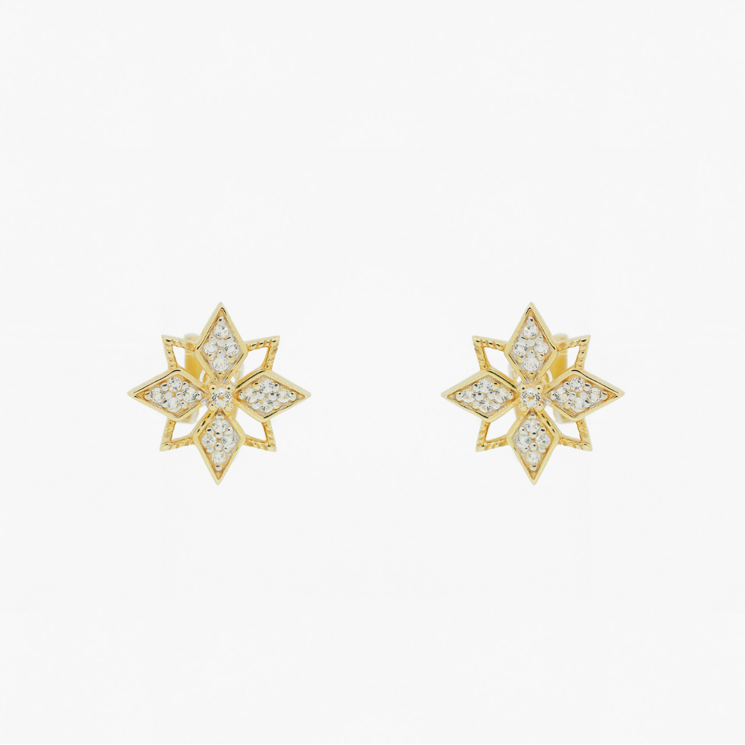 Star Studs (9K Gold) - Carrie K. 