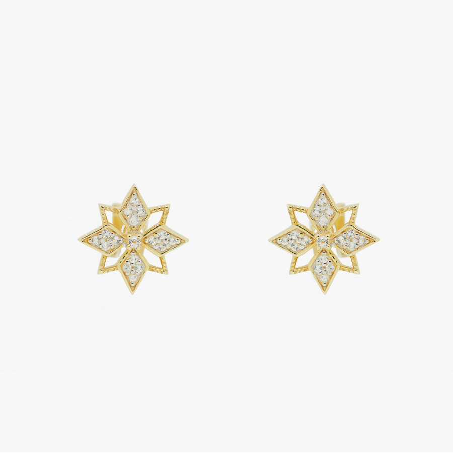 Star Studs (9K Gold) - Carrie K. 