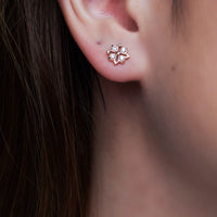 Star Mini Studs (9K Gold) - Carrie K. 