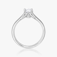 Pinnacle Ring - Carrie K. 