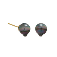 Circle Tahitian Pearl Studs (9K Gold) - Carrie K. 